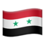 🇸🇾